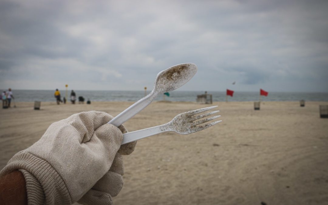 Plastic Free St Ives: Why do we clean beaches?