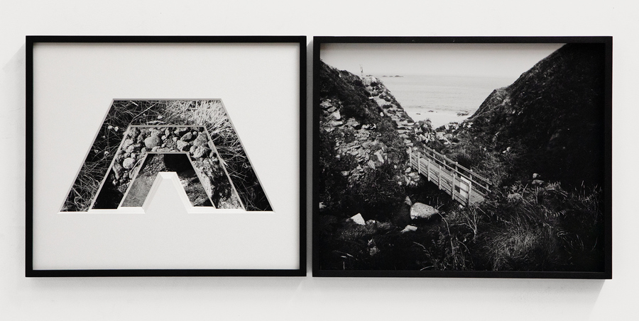 Strata theme for new Anima Mundi show