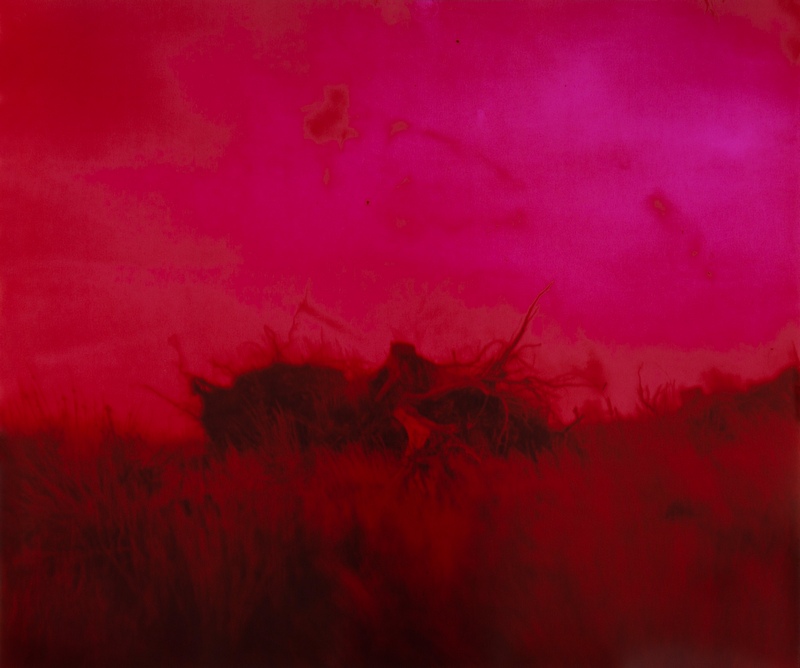 Oliver Raymond Parker, Cove Forest