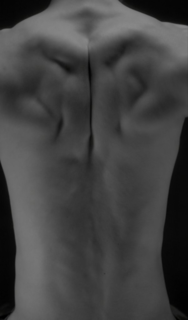 Youki Hirakawa Torso (detail)